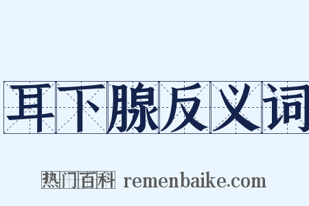 耳下腺反义词是什么意思的图片
